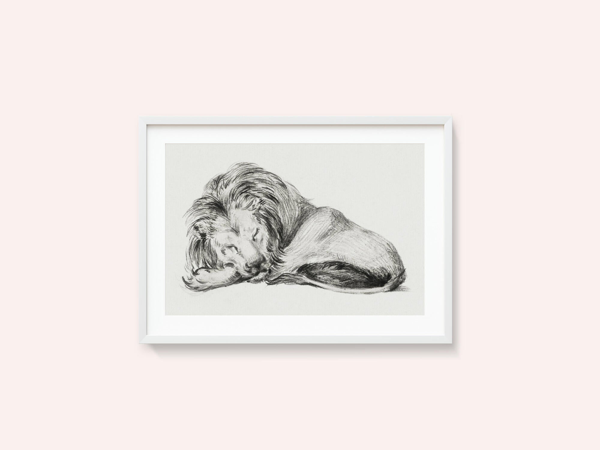 Lying Lion