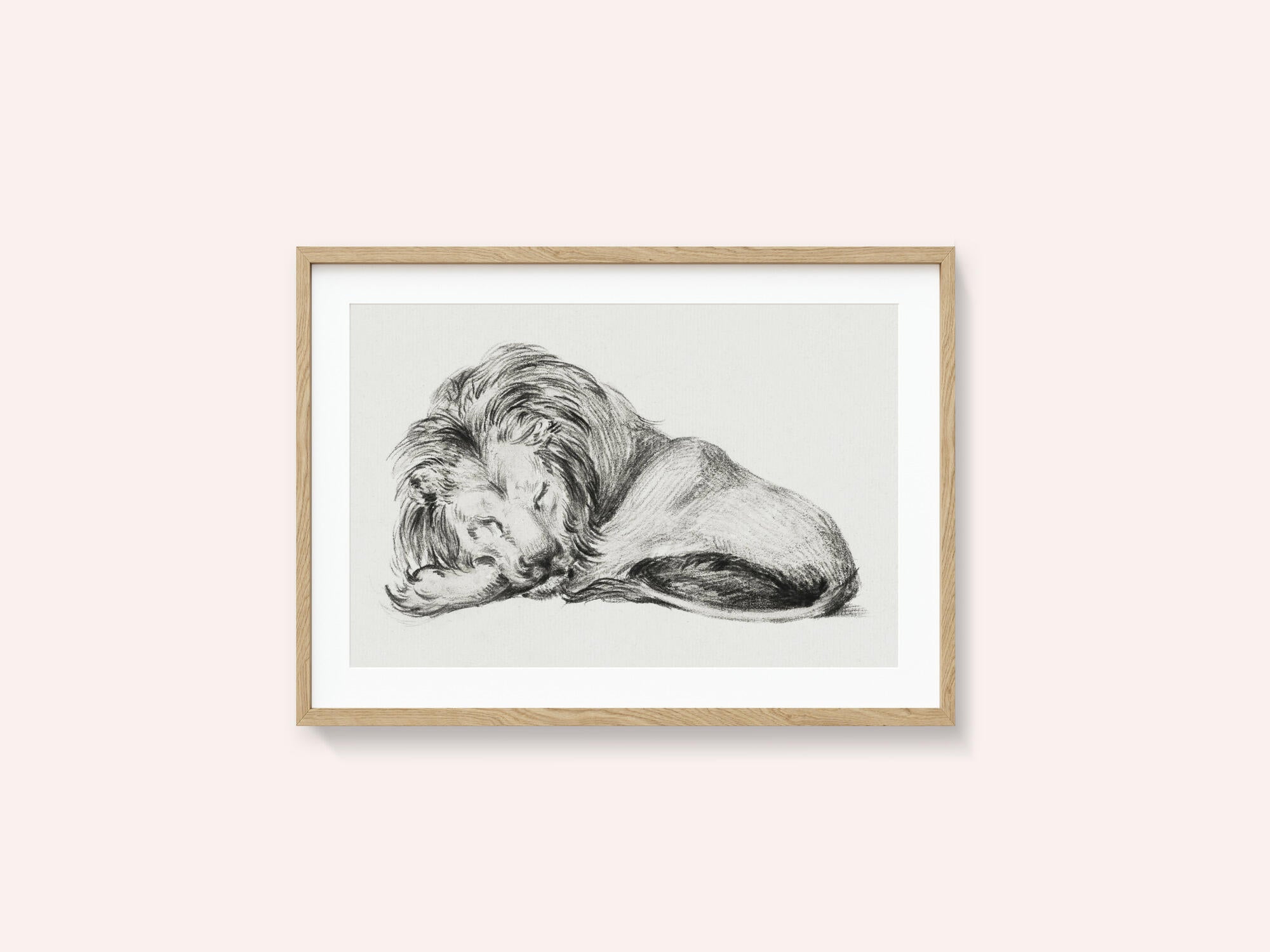 Lying Lion