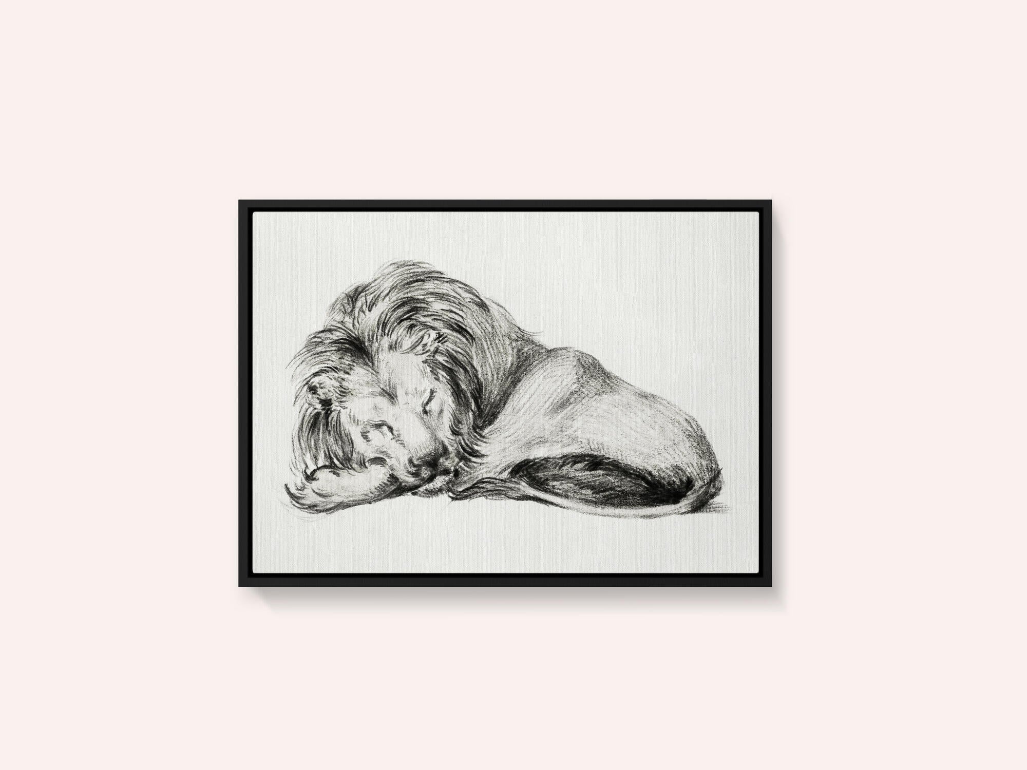 Lying Lion