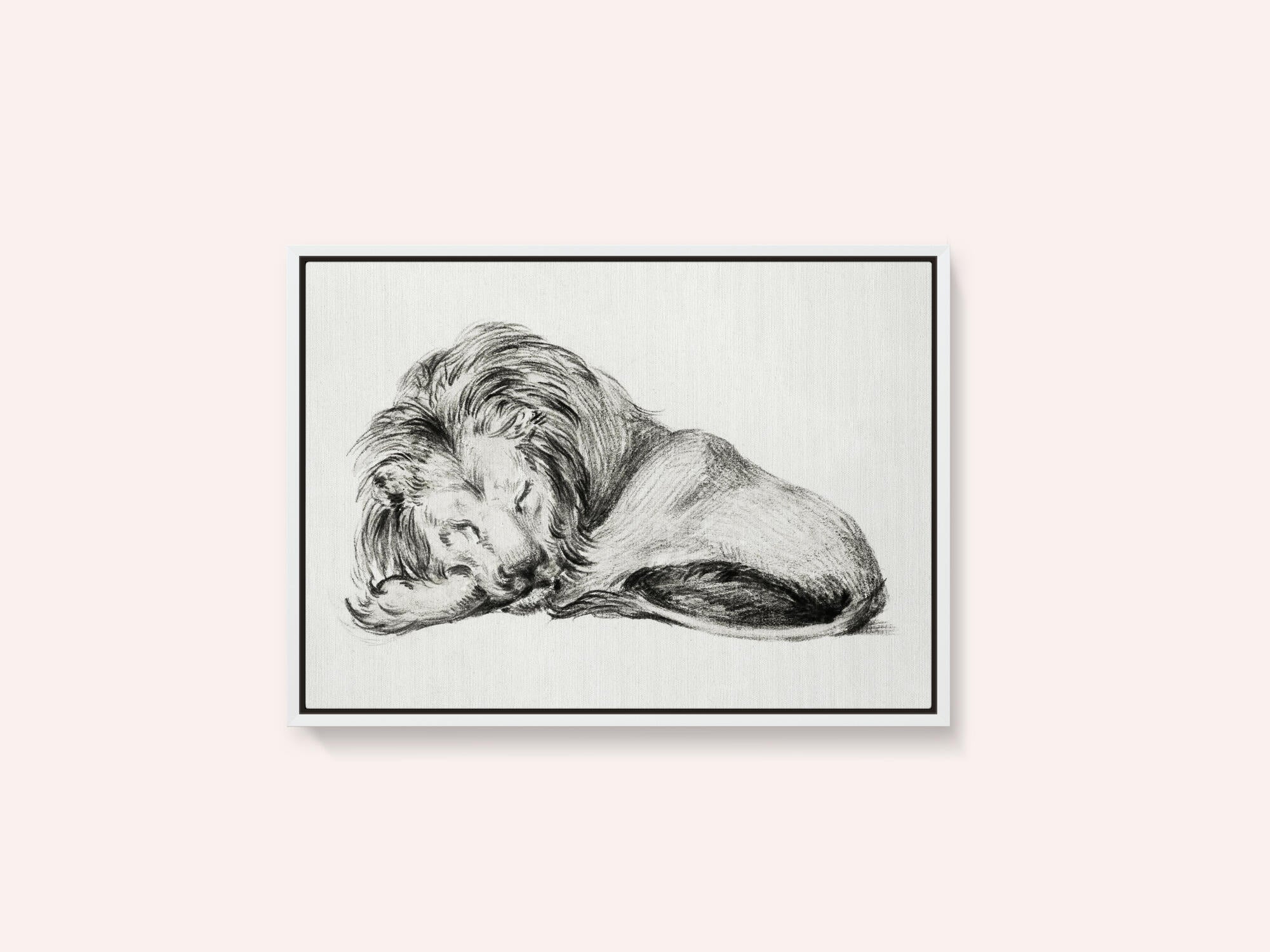 Lying Lion