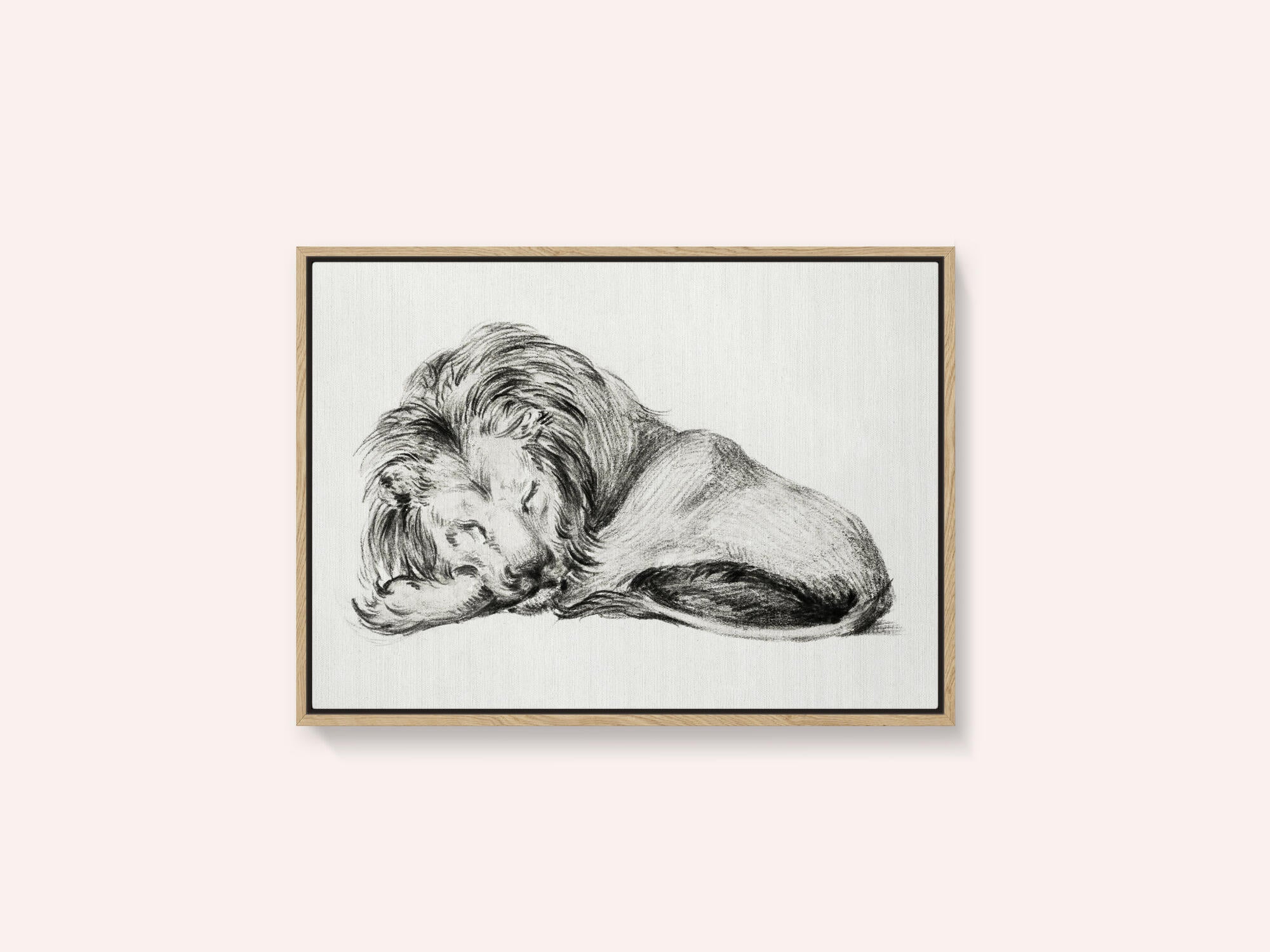 Lying Lion