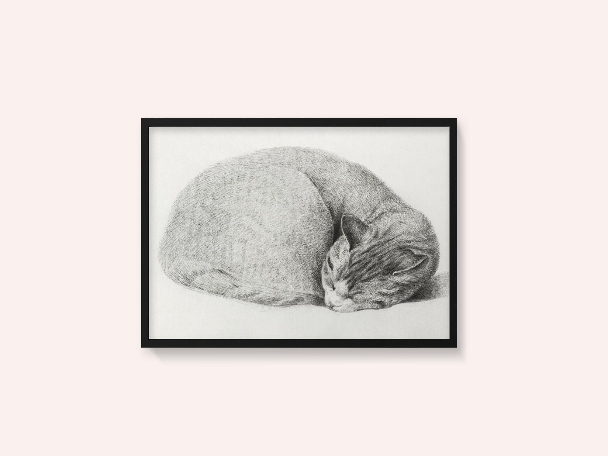Rolled Up Lying, Sleeping Cat By Jean Bernard (1775 1883)