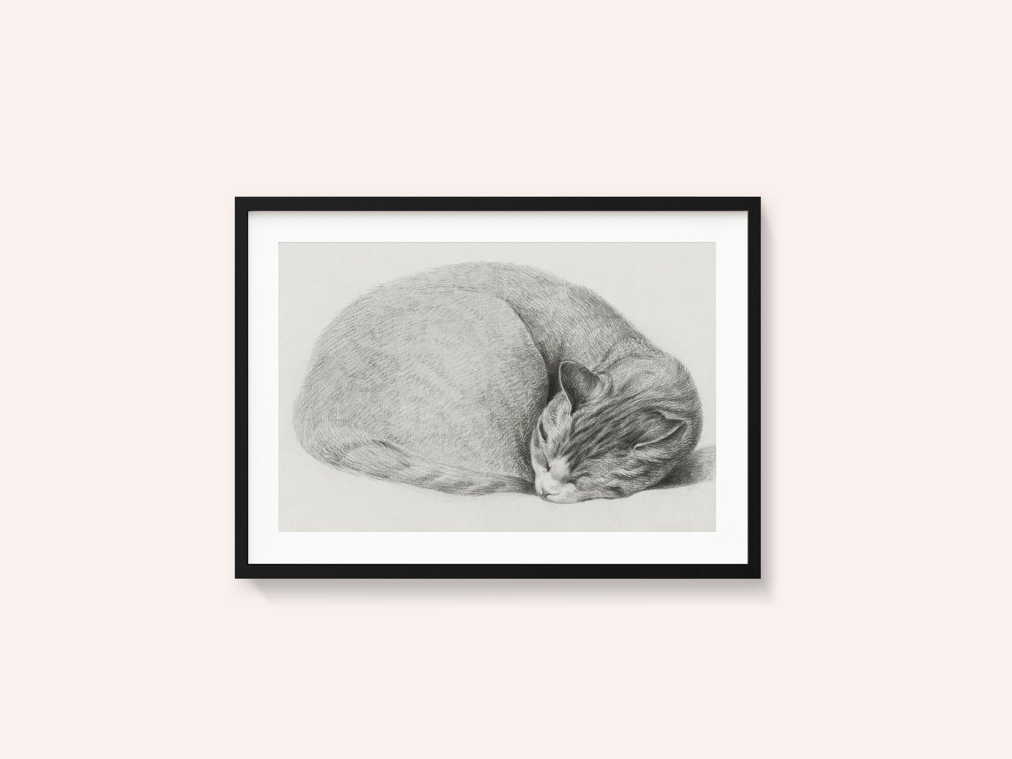 Rolled Up Lying, Sleeping Cat By Jean Bernard (1775 1883)