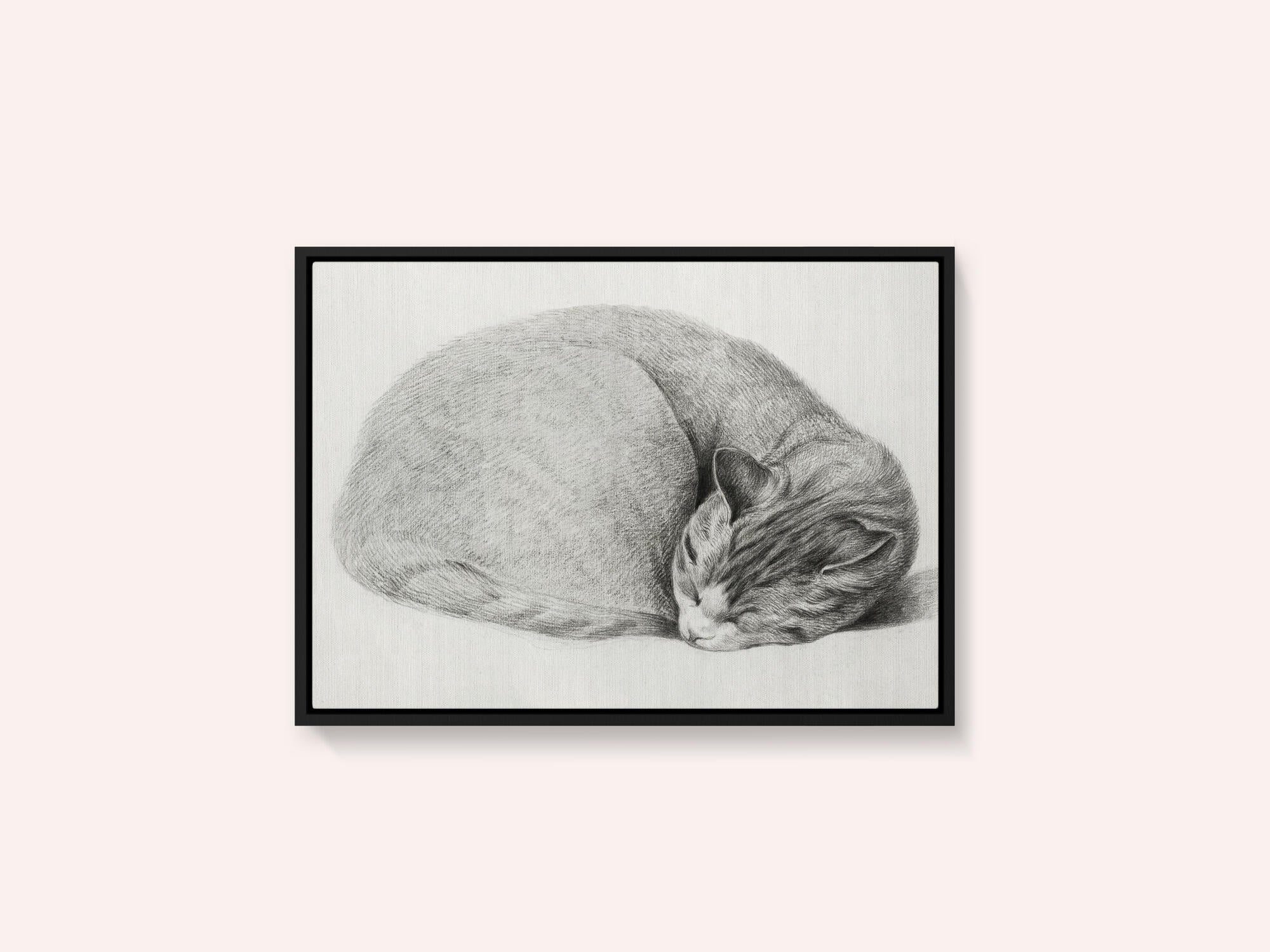 Rolled Up Lying, Sleeping Cat By Jean Bernard (1775 1883)
