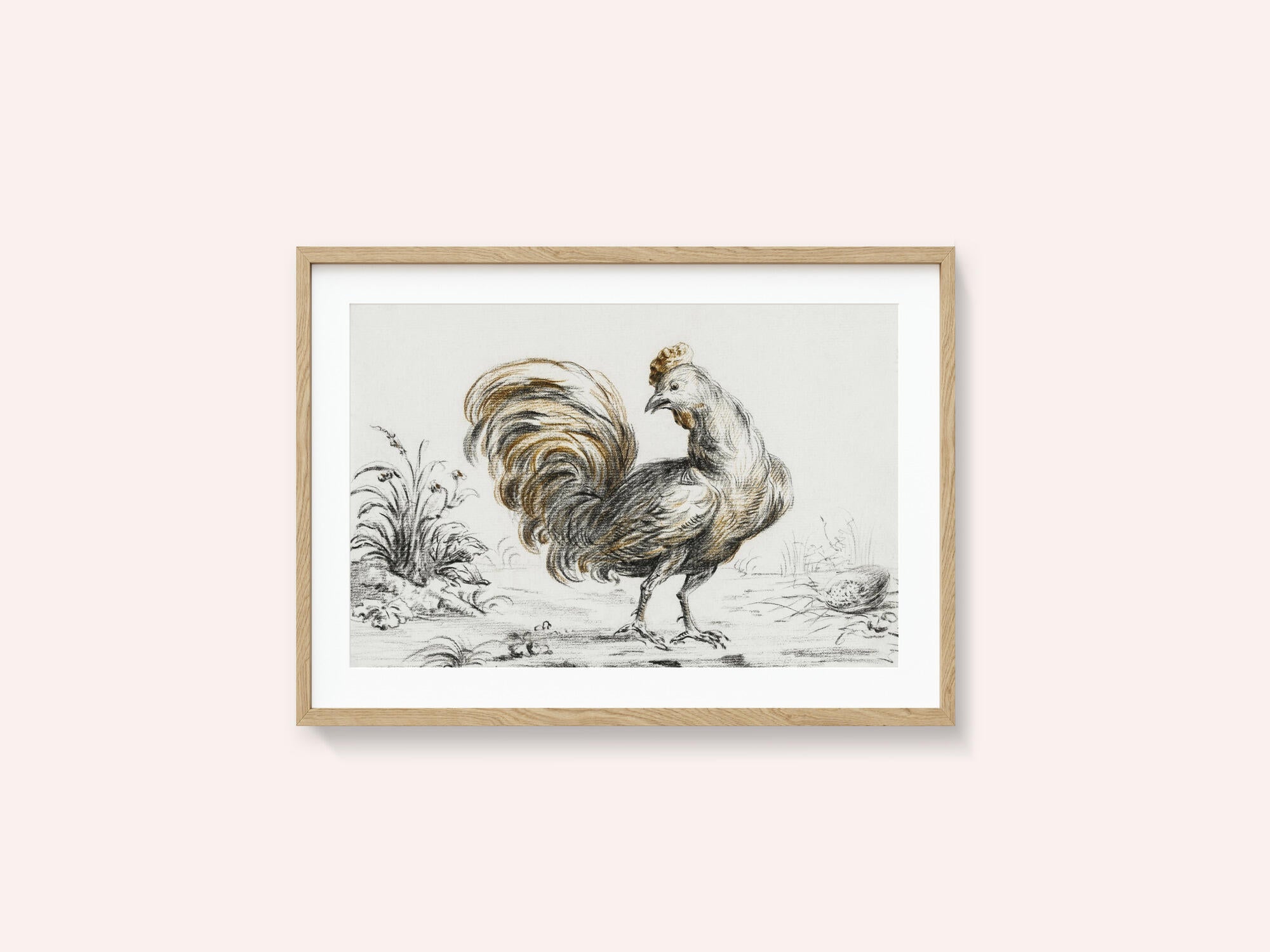 Rooster