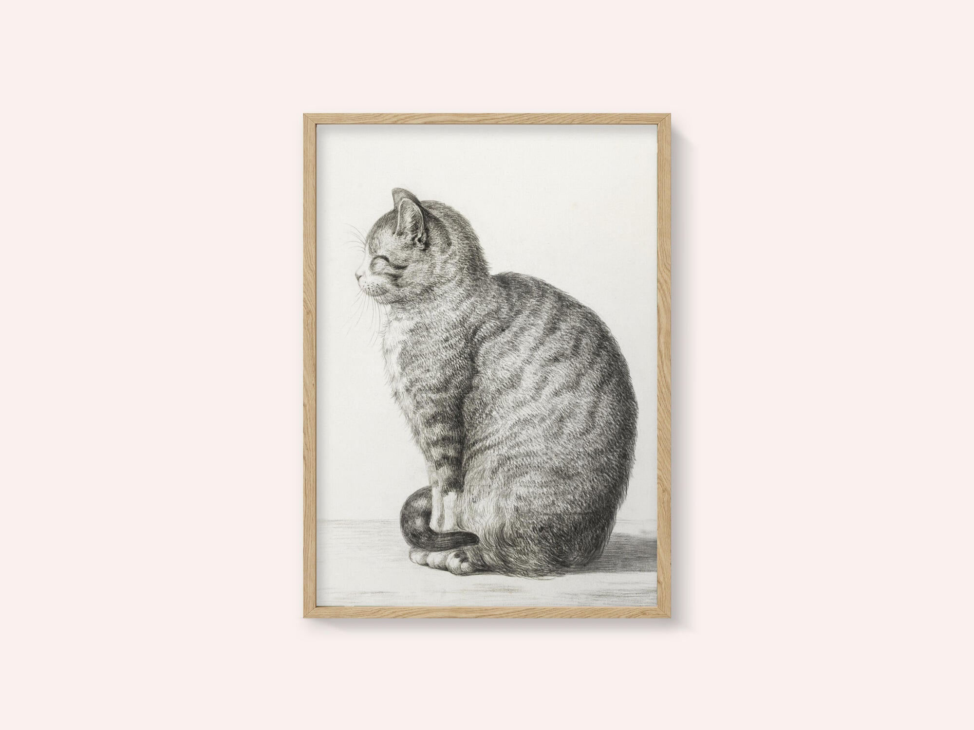 Sitting Cat (1815)