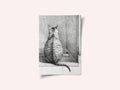 Sitting Cat, From Behind (1812)