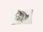 Sketch of a Cat (1813)