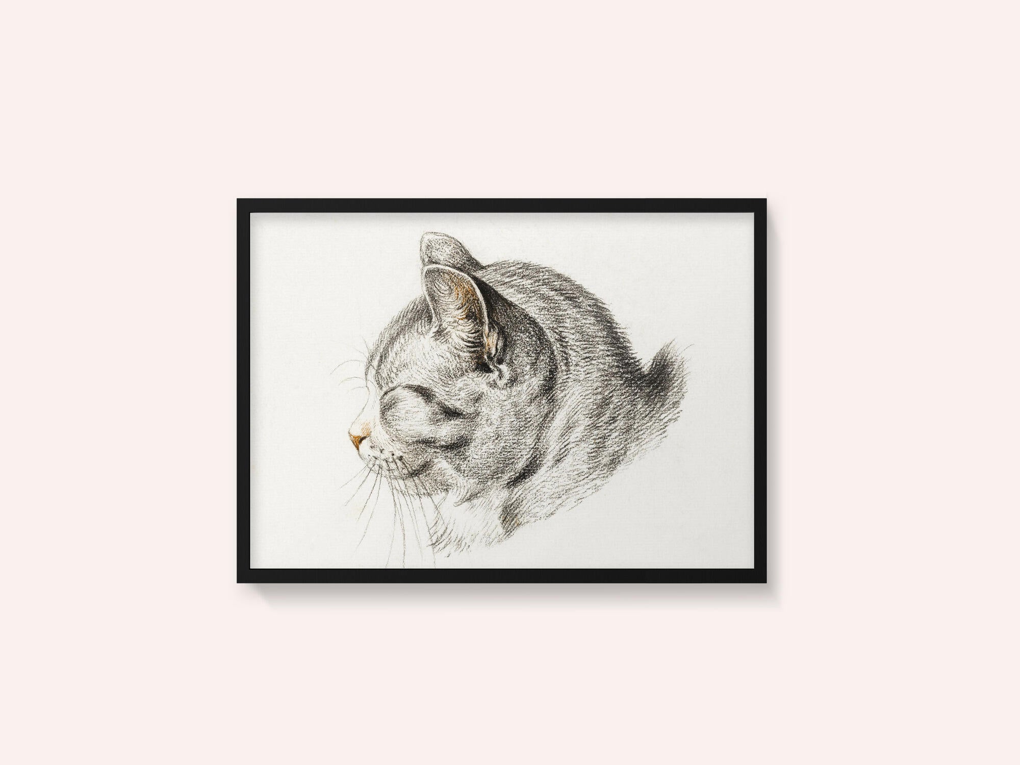 Sketch of a Cat (1813)