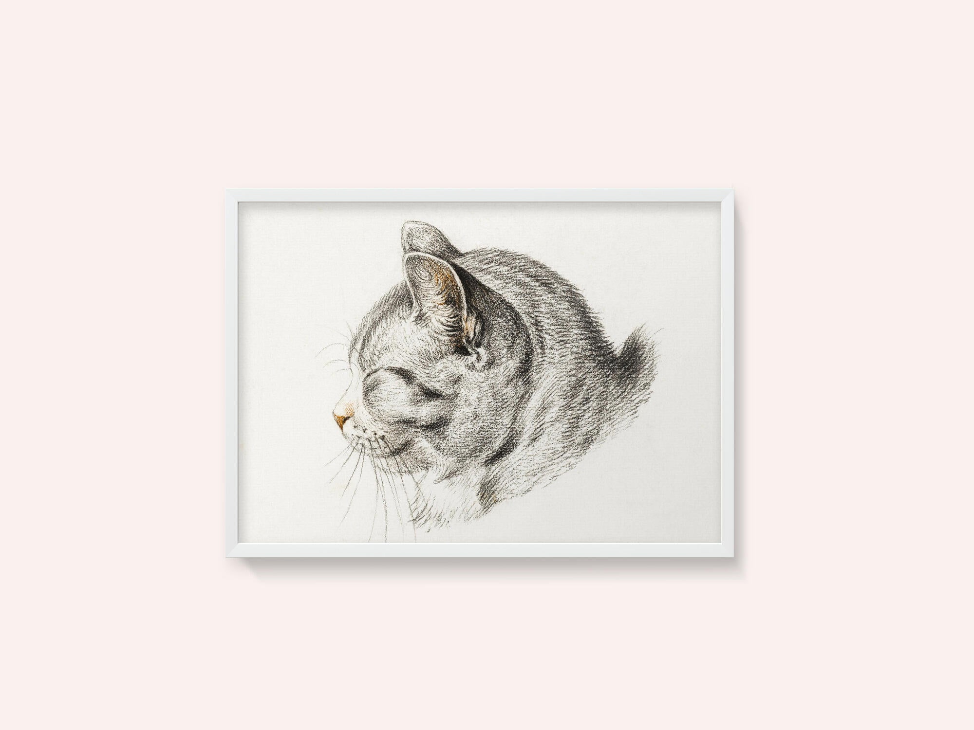 Sketch of a Cat (1813)
