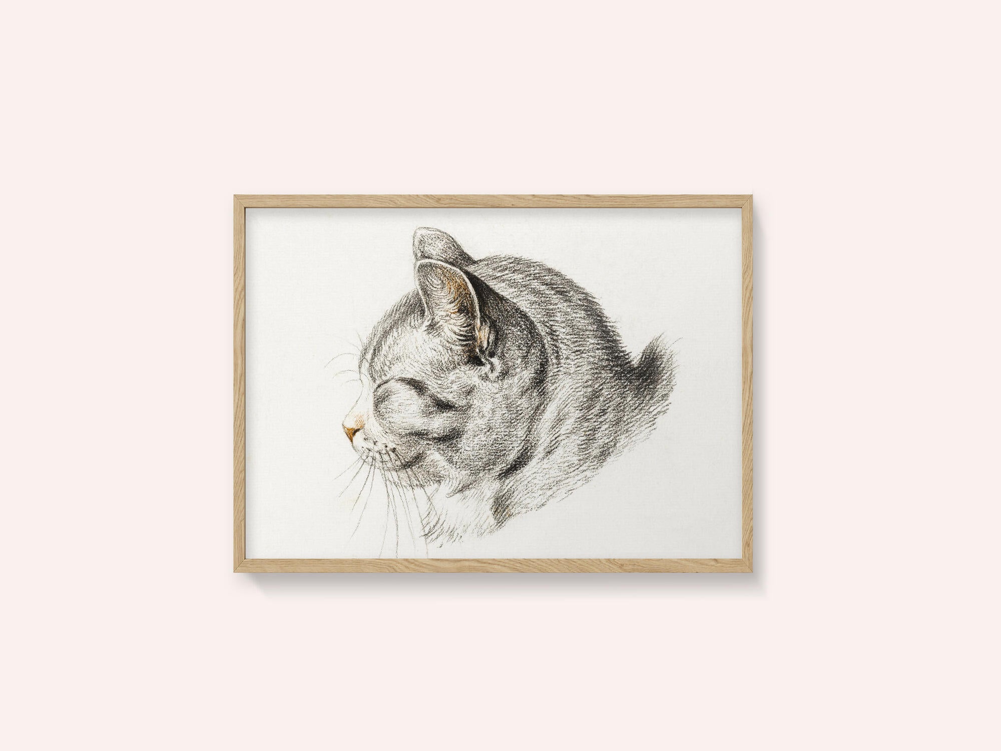 Sketch of a Cat (1813)