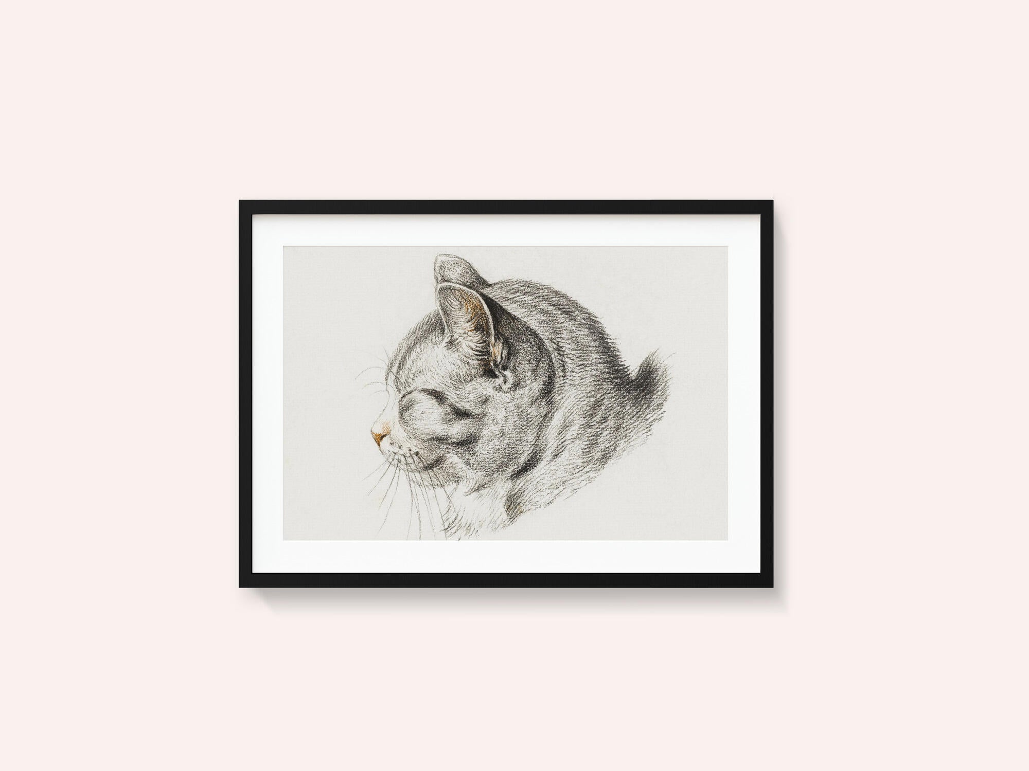 Sketch of a Cat (1813)