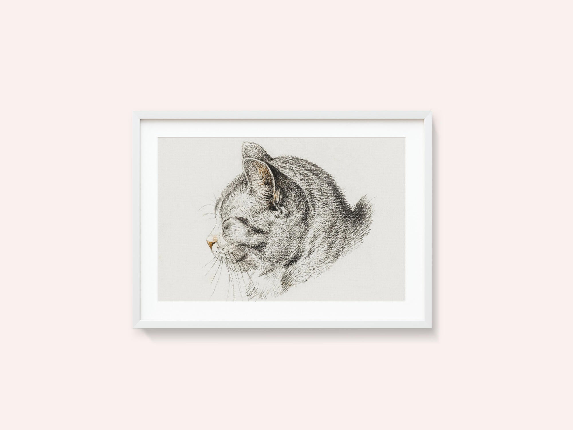 Sketch of a Cat (1813)
