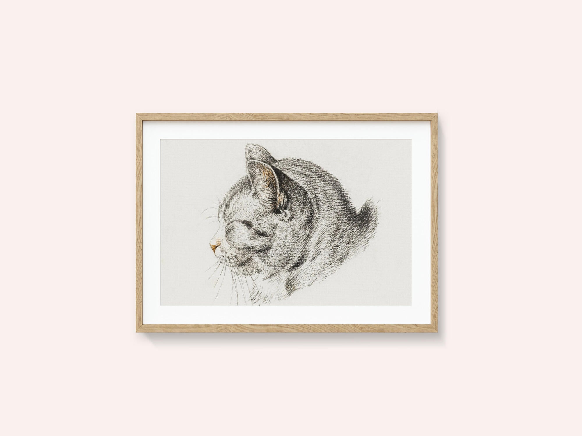 Sketch of a Cat (1813)