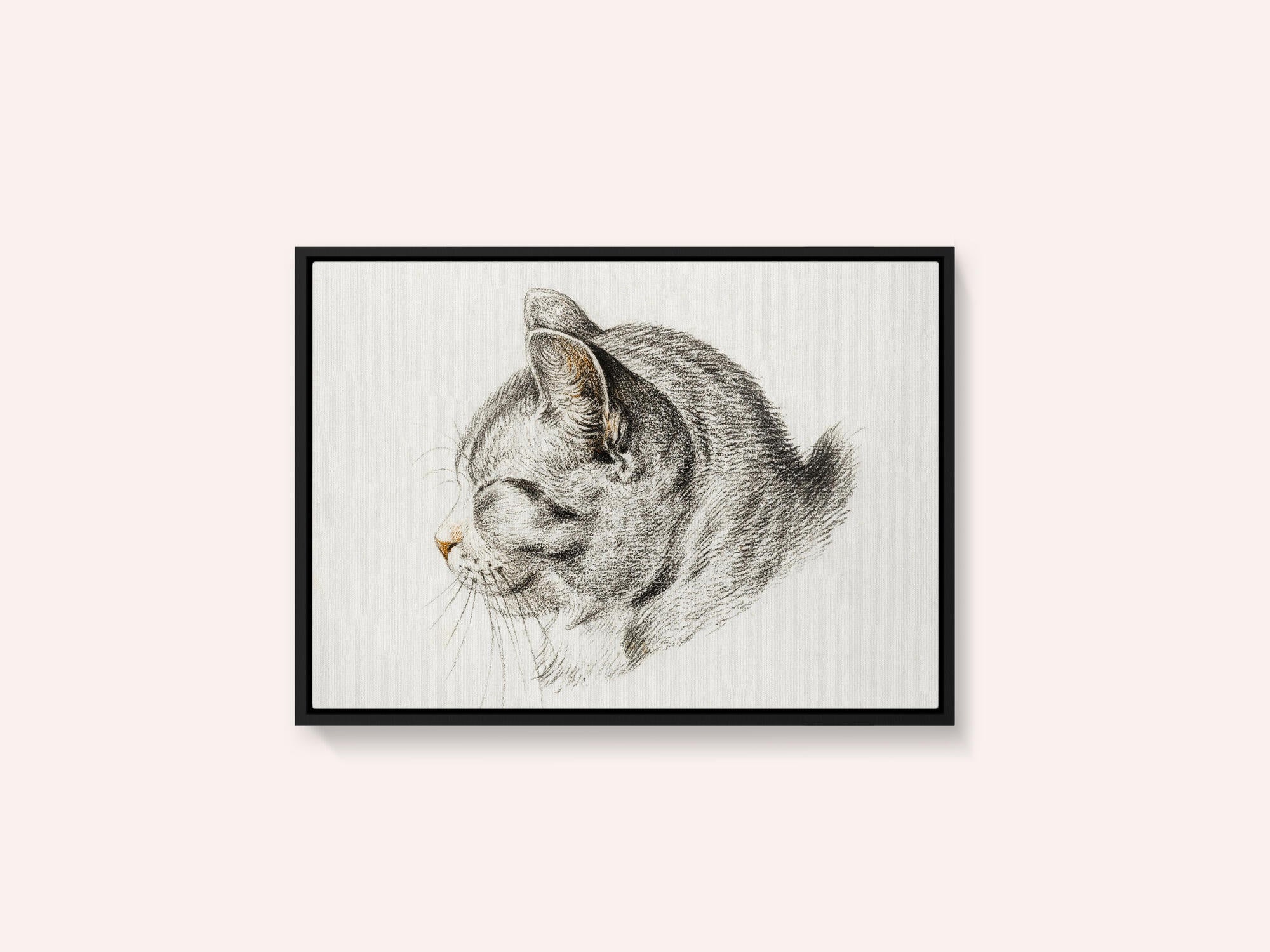 Sketch of a Cat (1813)