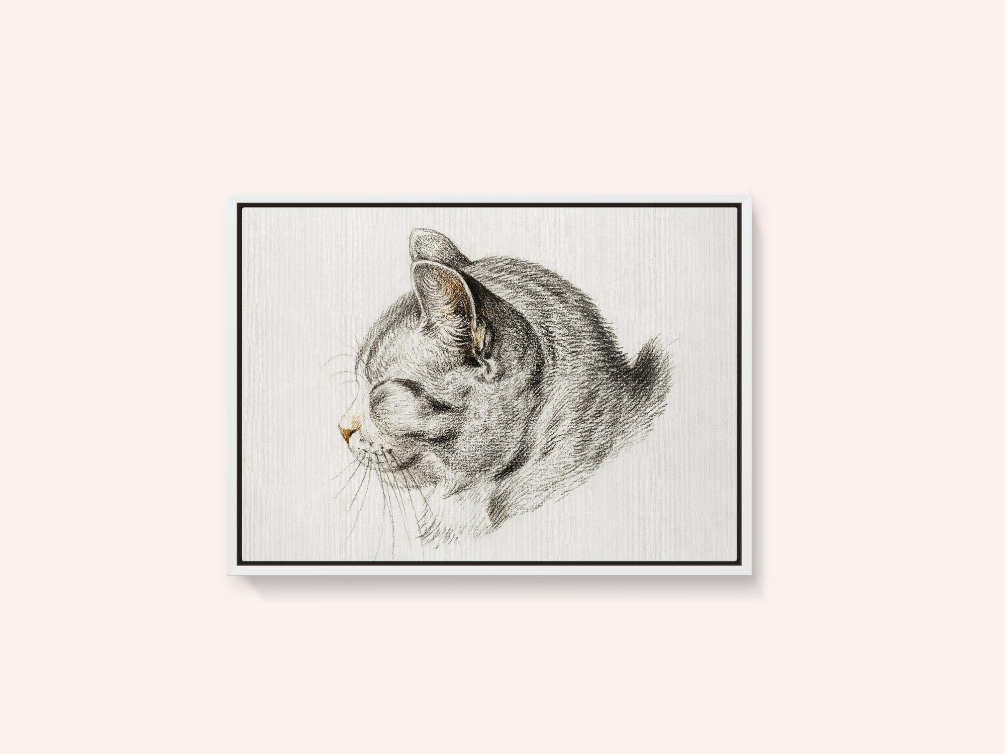 Sketch of a Cat (1813)