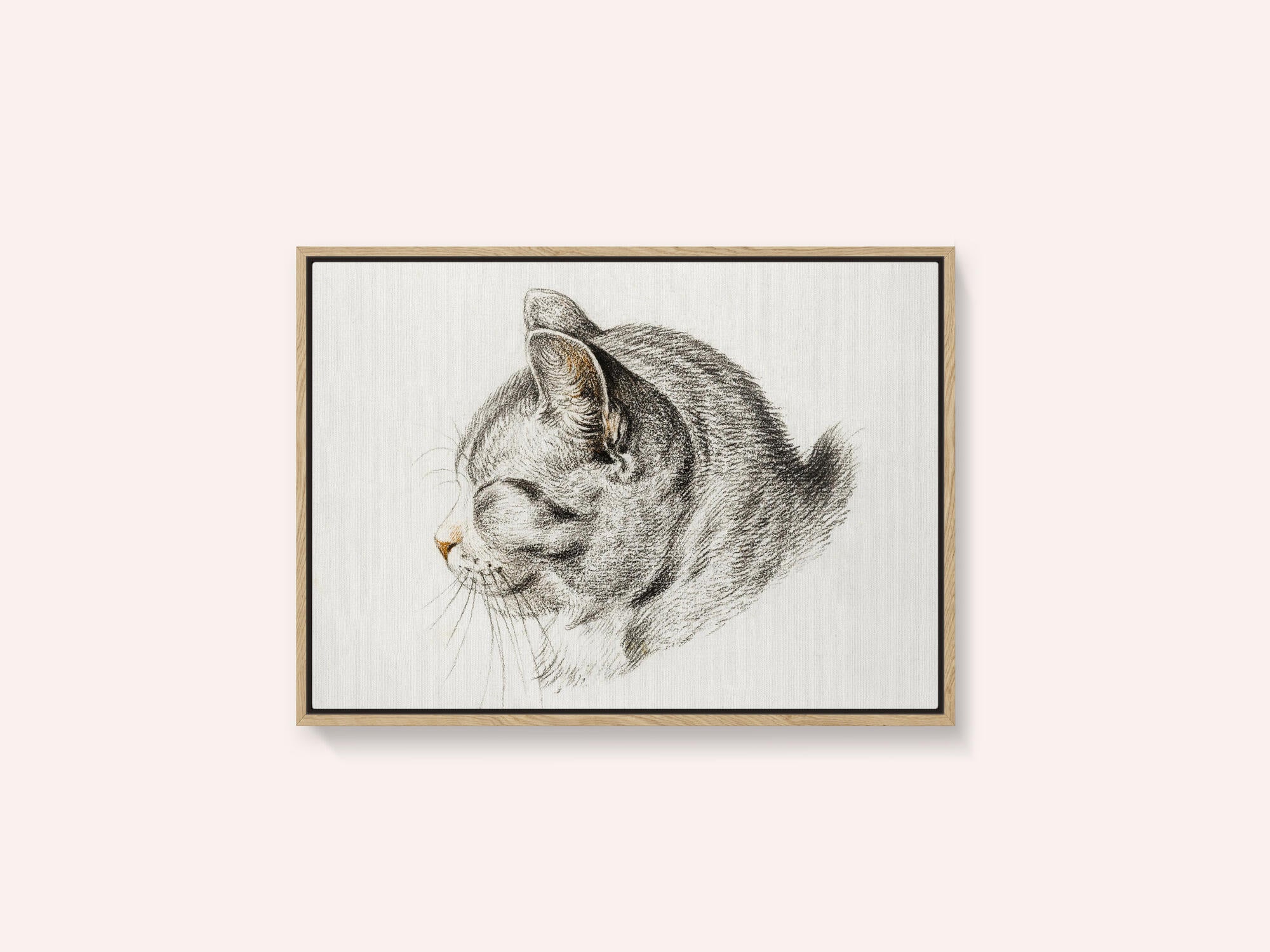 Sketch of a Cat (1813)