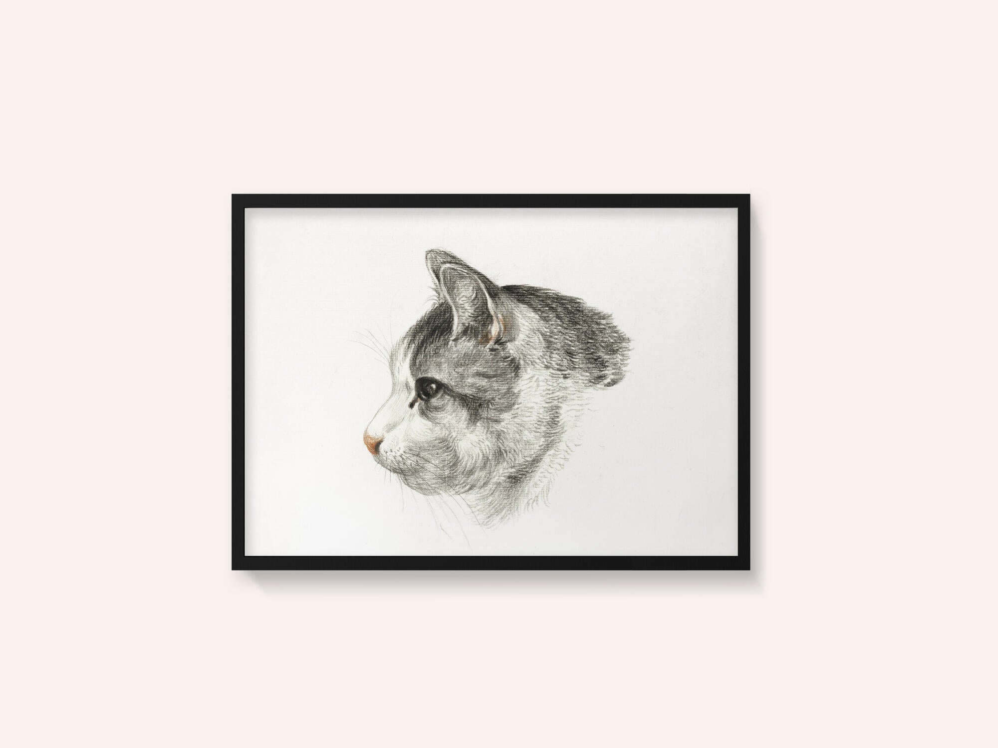 Sketch of a Cat (1819) By Jean Bernard (1775 1883)