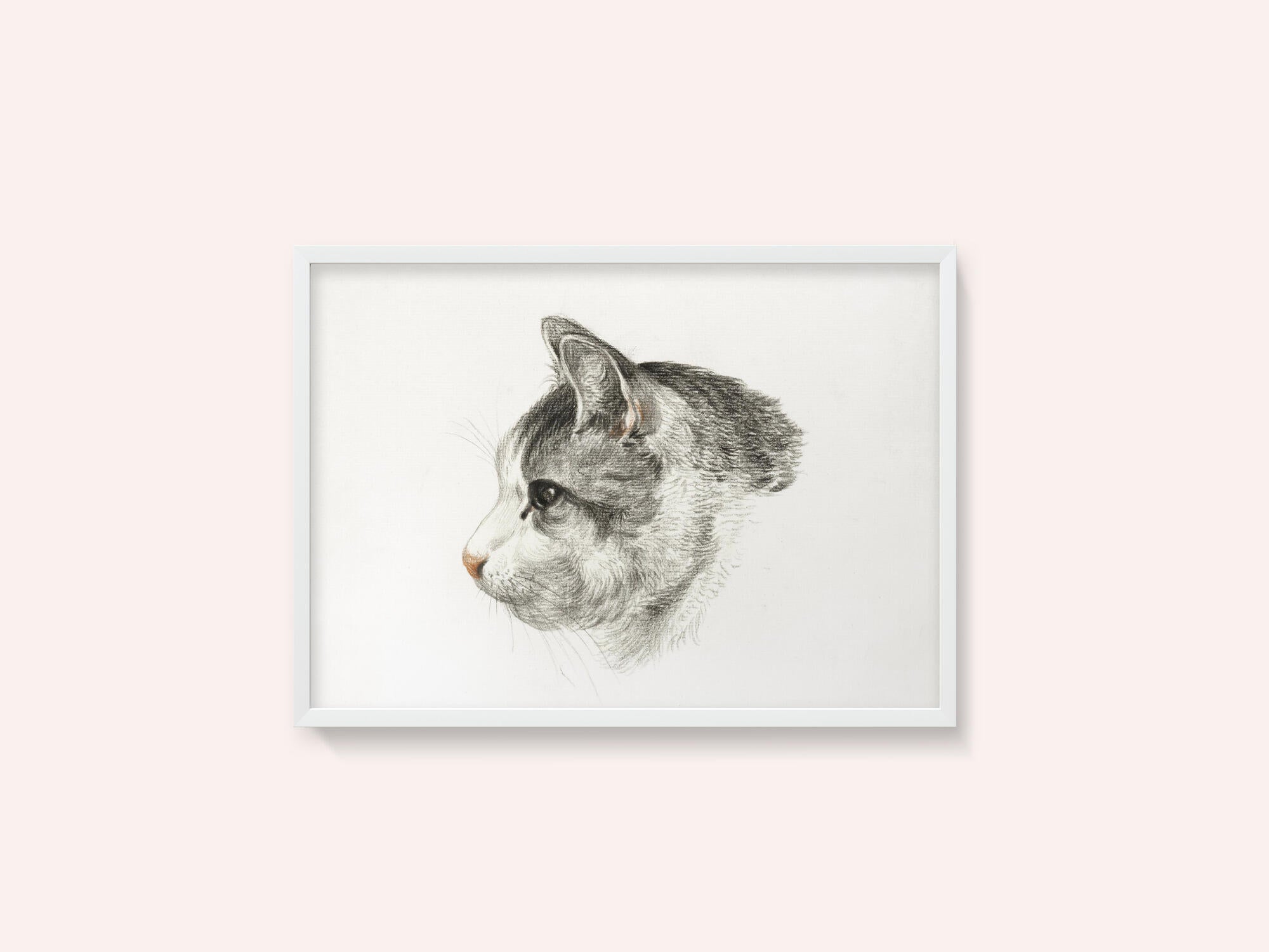 Sketch of a Cat (1819) By Jean Bernard (1775 1883)