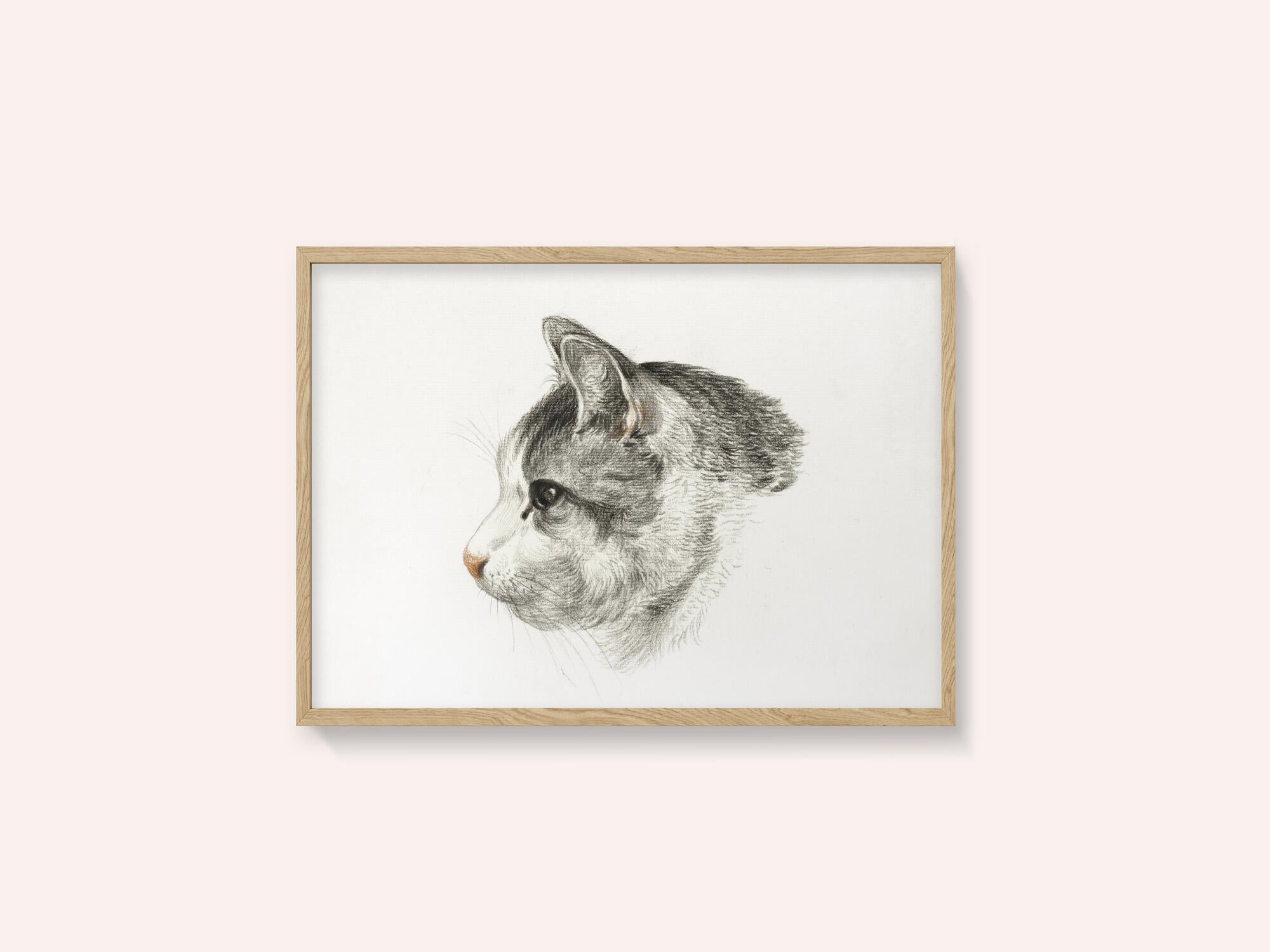 Sketch of a Cat (1819) By Jean Bernard (1775 1883)