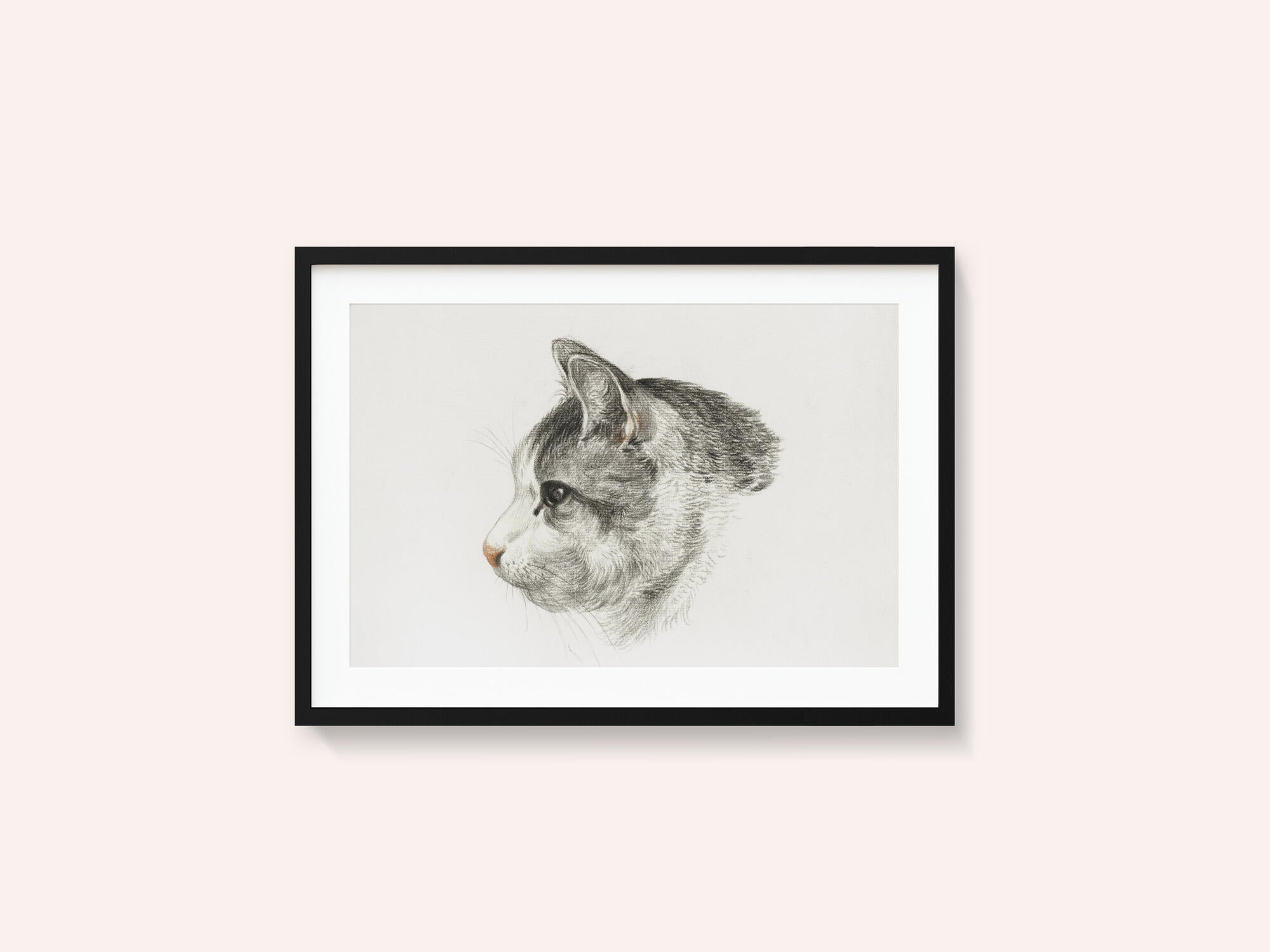 Sketch of a Cat (1819) By Jean Bernard (1775 1883)