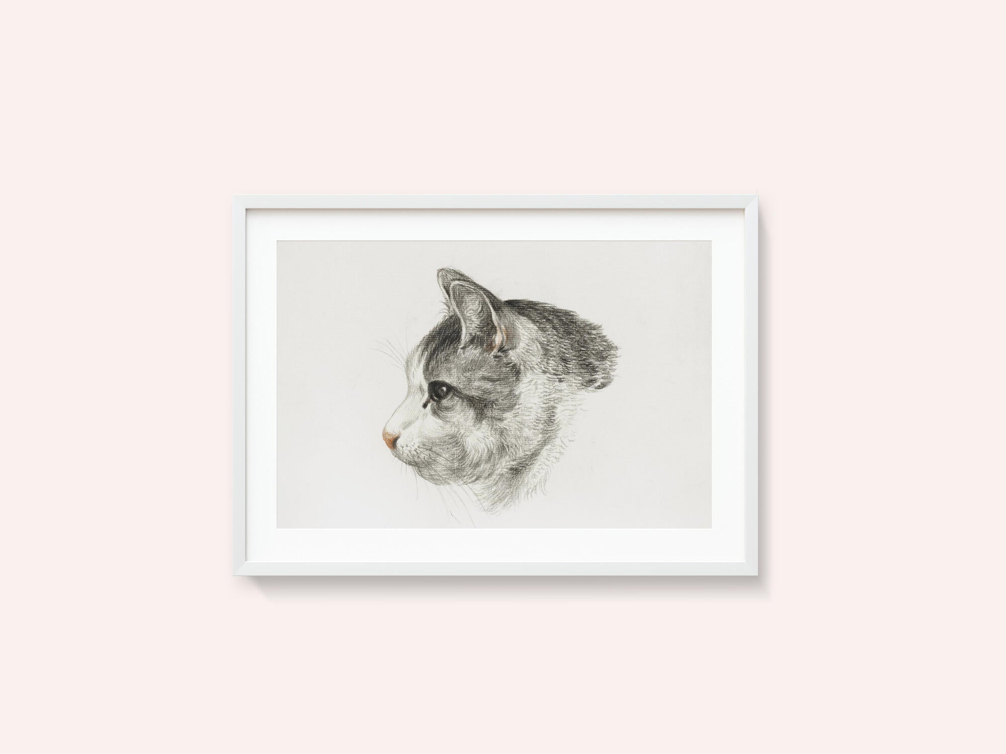 Sketch of a Cat (1819) By Jean Bernard (1775 1883)