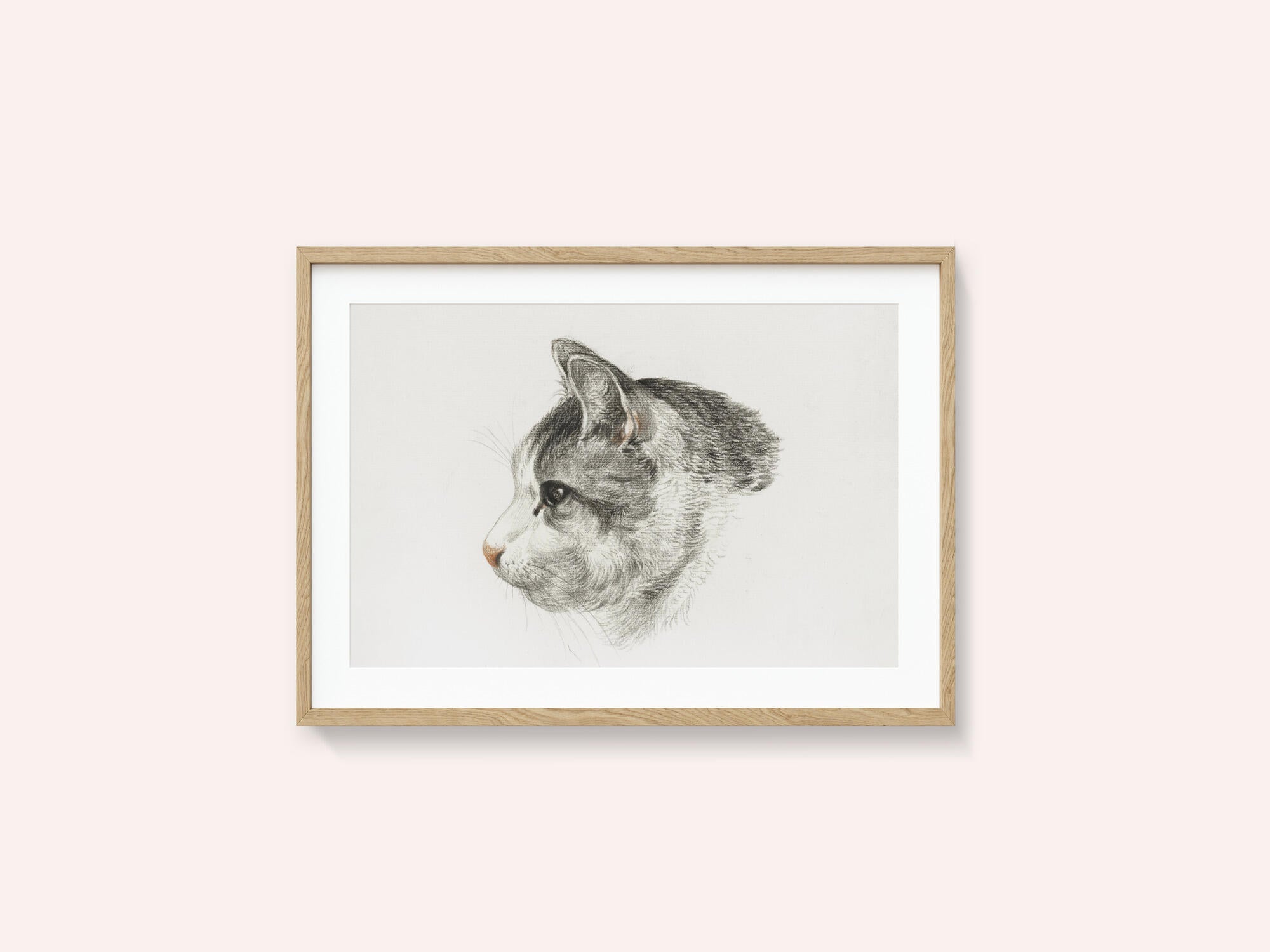 Sketch of a Cat (1819) By Jean Bernard (1775 1883)