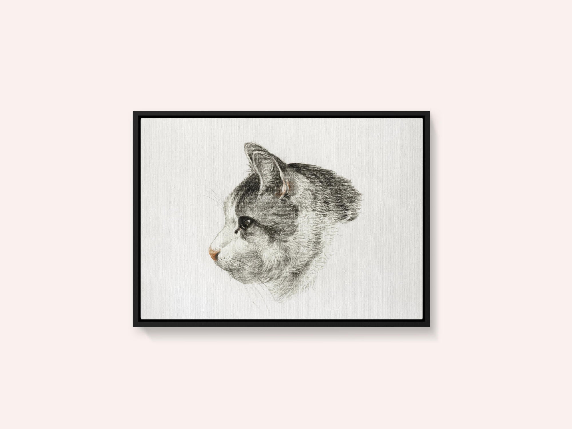 Sketch of a Cat (1819) By Jean Bernard (1775 1883)