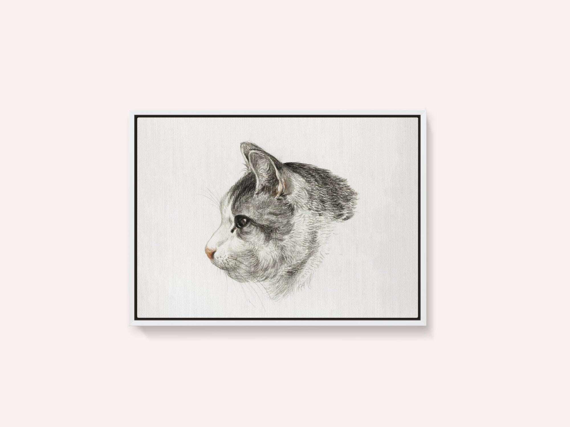 Sketch of a Cat (1819) By Jean Bernard (1775 1883)