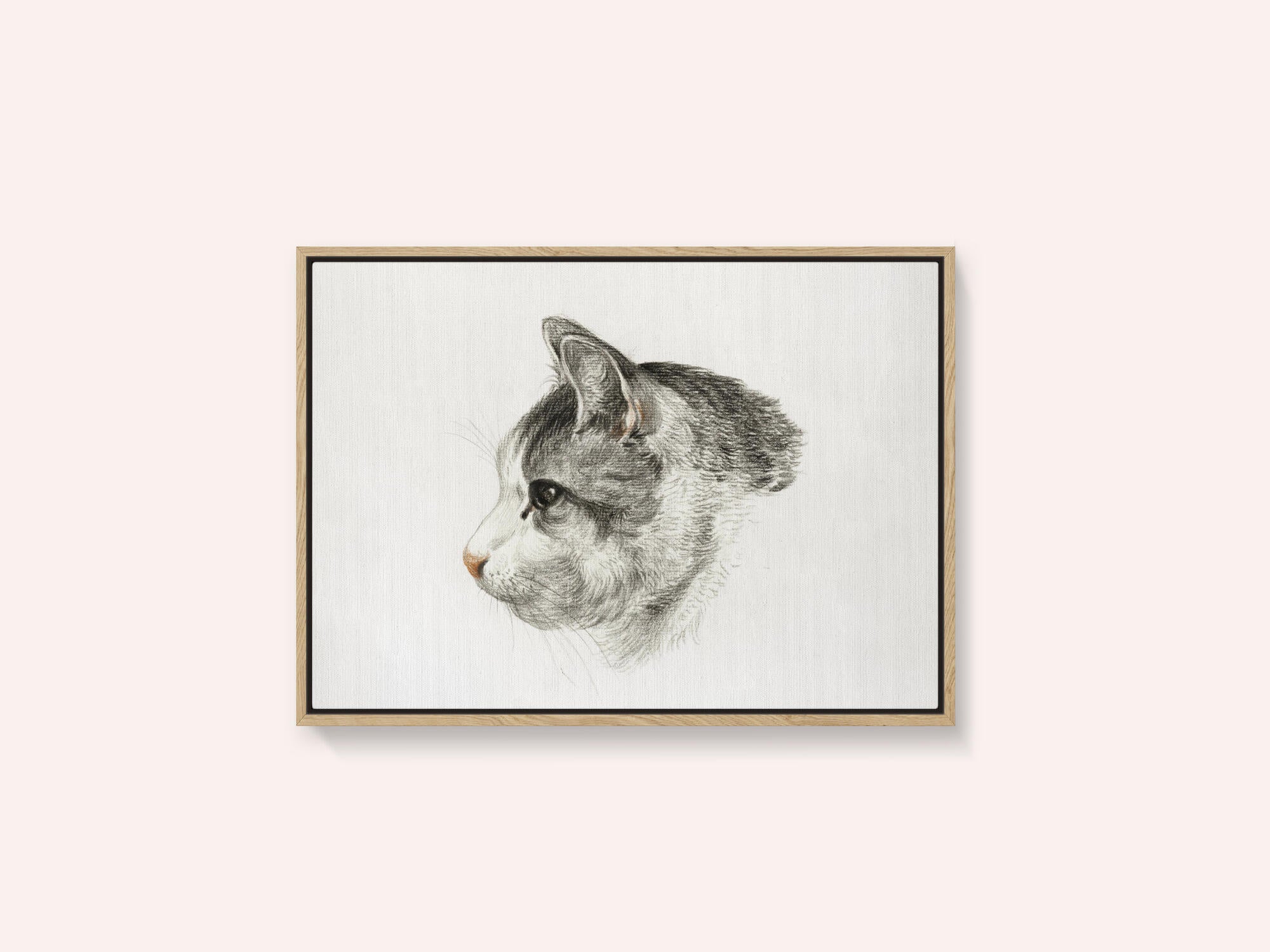 Sketch of a Cat (1819) By Jean Bernard (1775 1883)