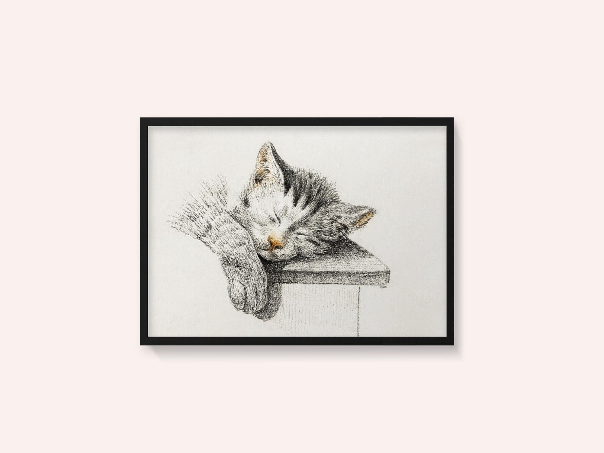 Sketch of a Sleeping Cat