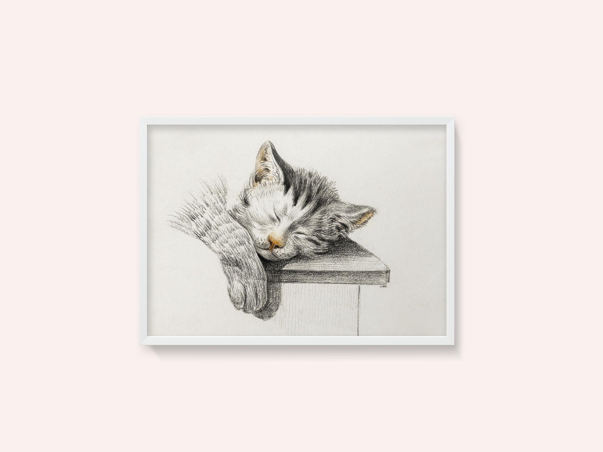 Sketch of a Sleeping Cat