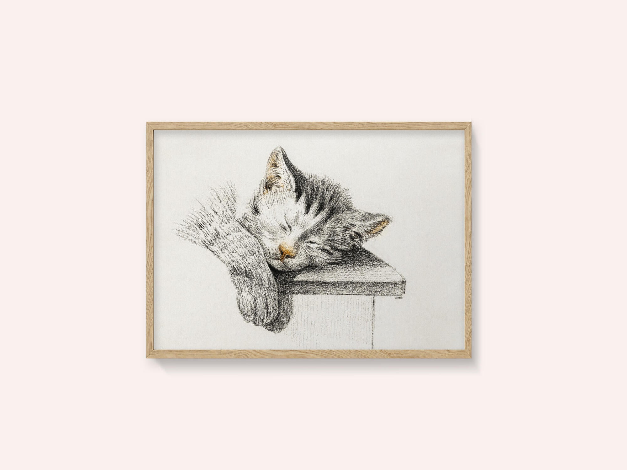 Sketch of a Sleeping Cat