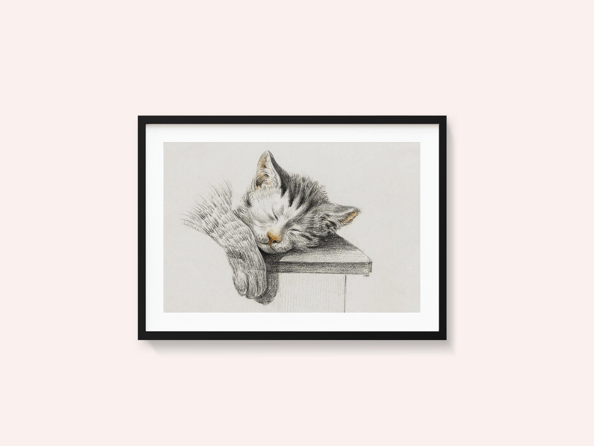 Sketch of a Sleeping Cat