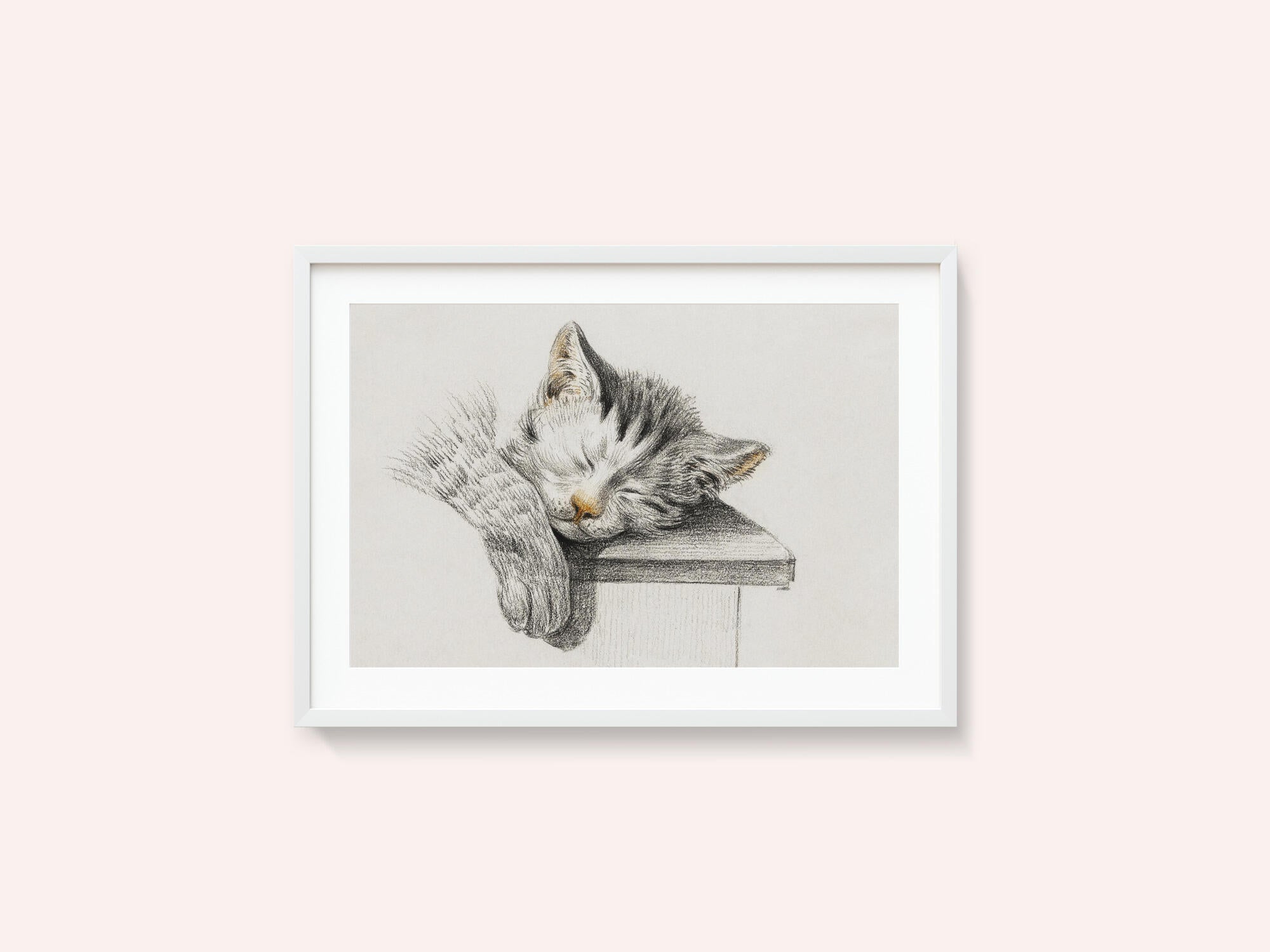 Sketch of a Sleeping Cat