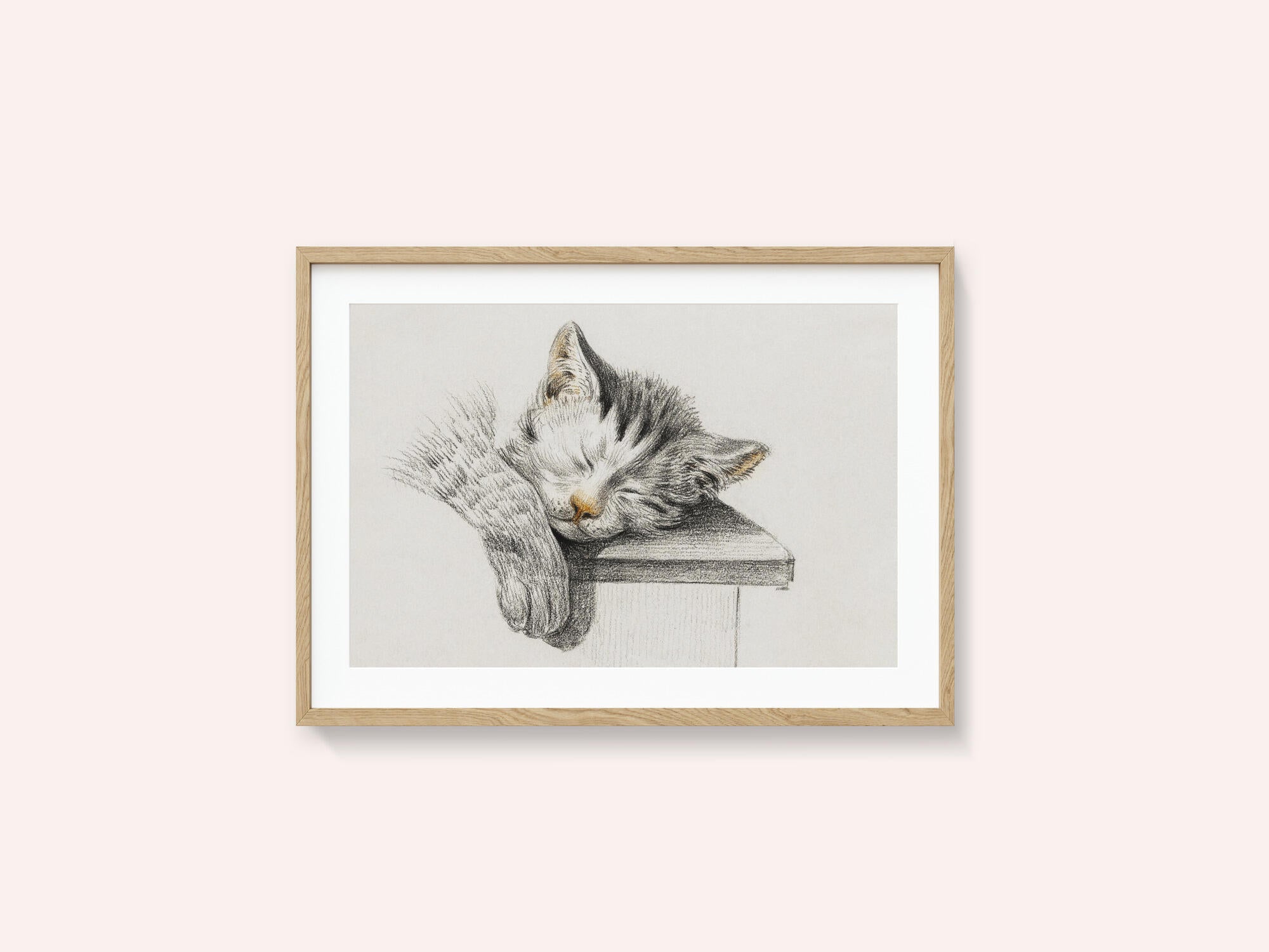 Sketch of a Sleeping Cat