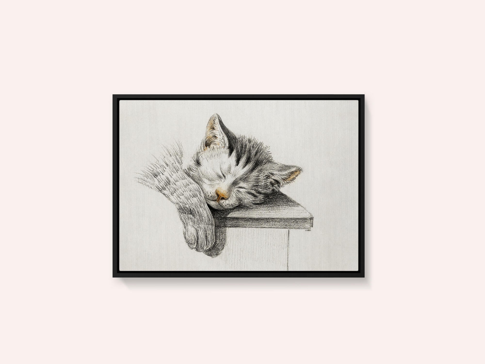 Sketch of a Sleeping Cat