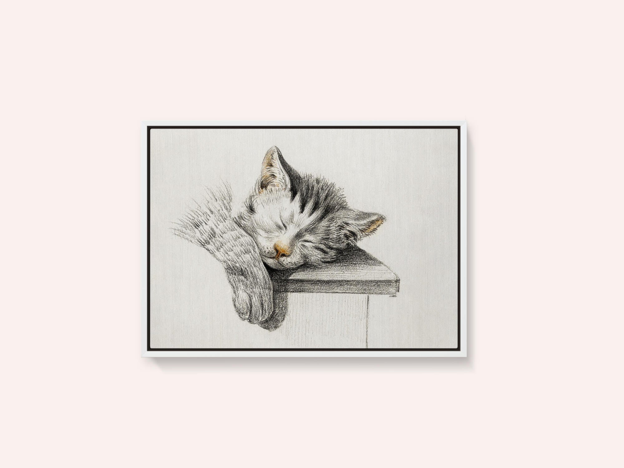 Sketch of a Sleeping Cat