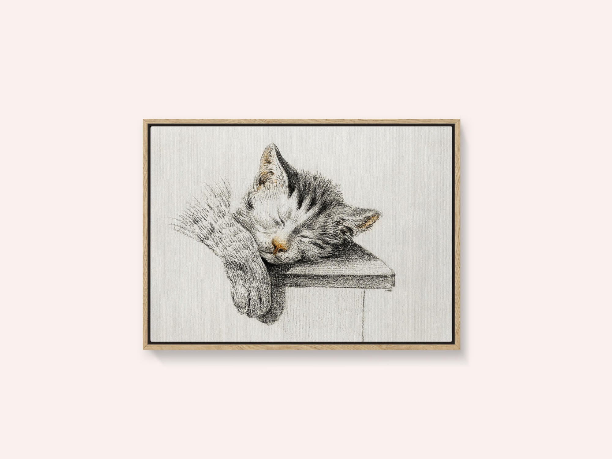 Sketch of a Sleeping Cat
