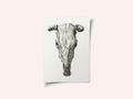 Skull of a Cow Front  View(1816)