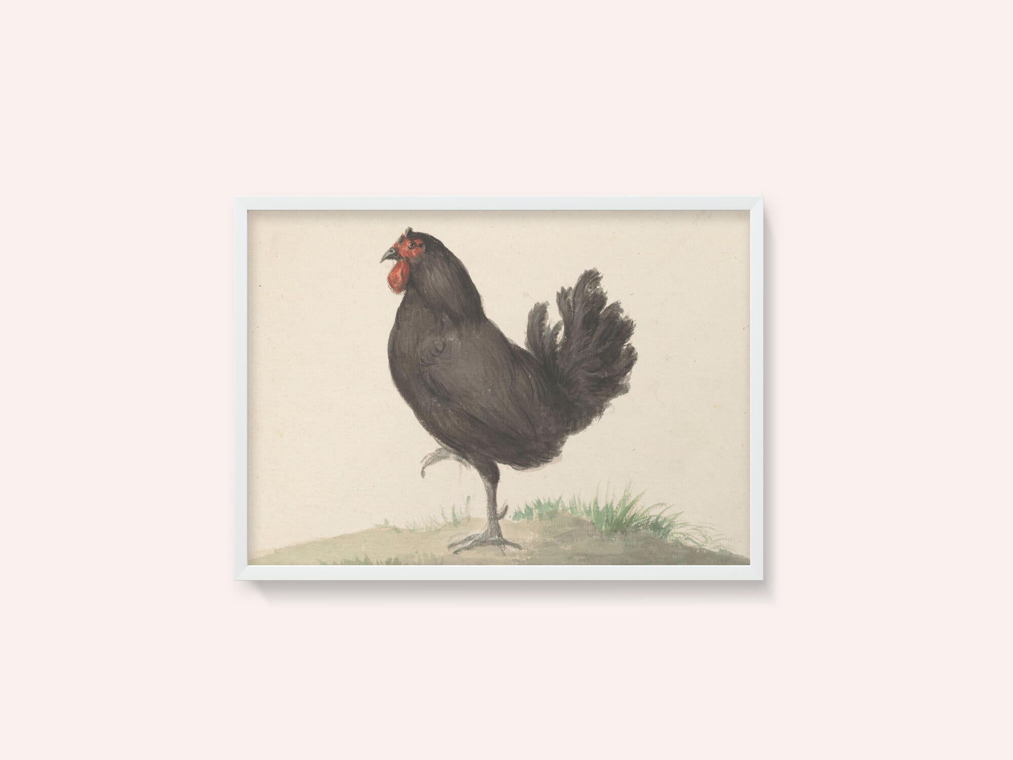 Staande Zwarte Kip (1775–1833)