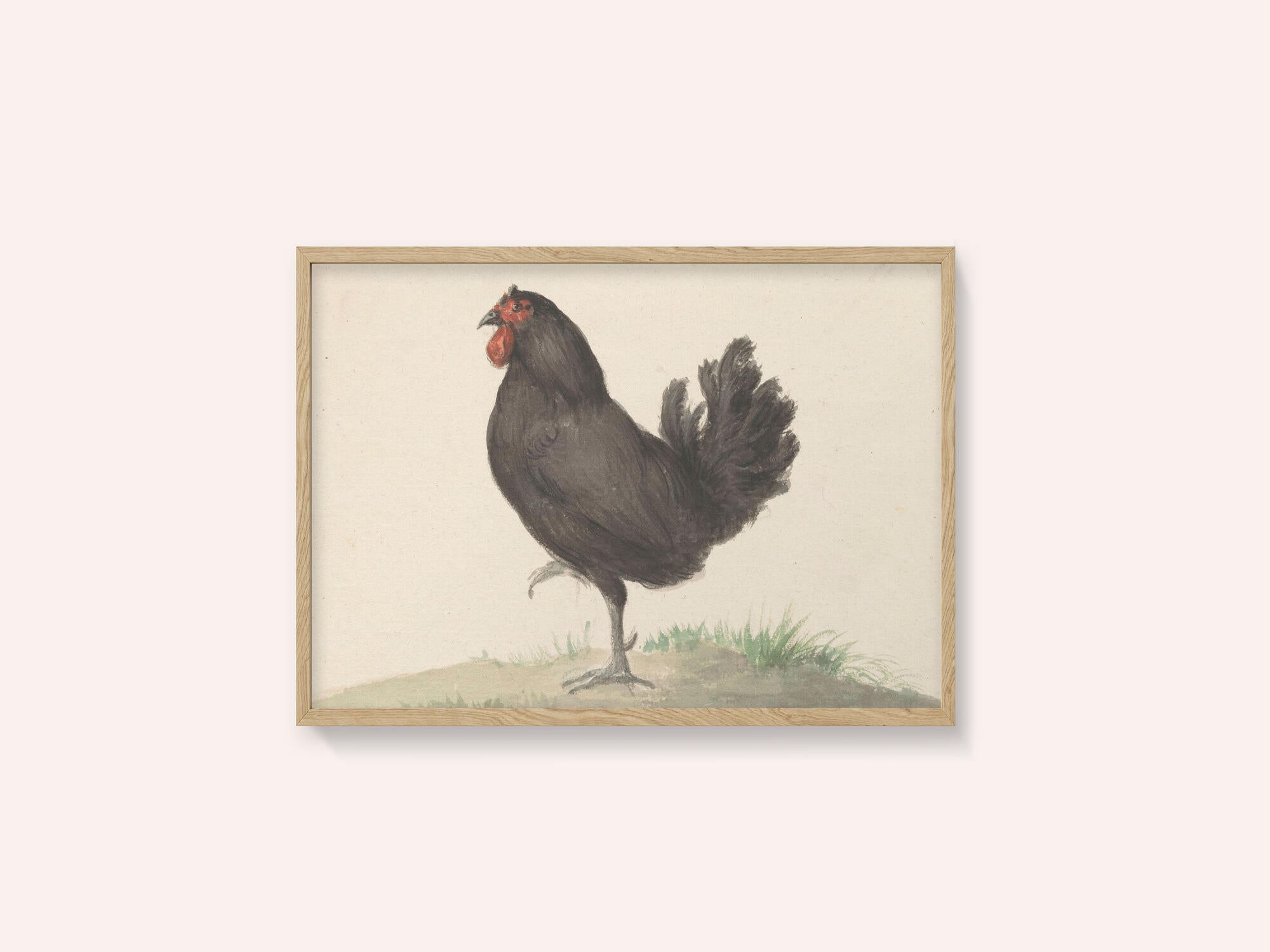 Staande Zwarte Kip (1775–1833)