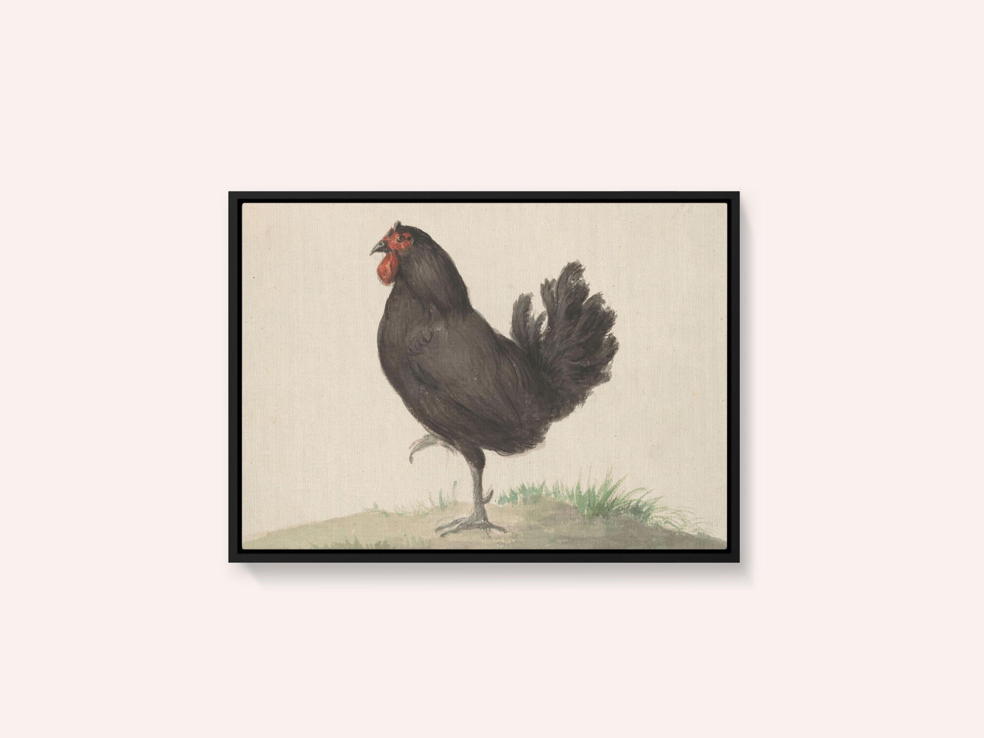 Staande Zwarte Kip (1775–1833)