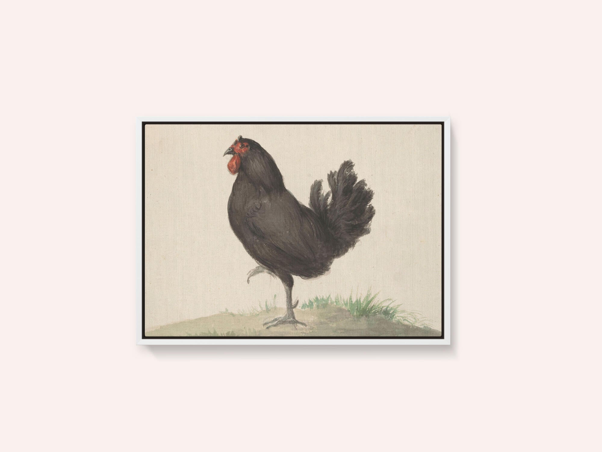 Staande Zwarte Kip (1775–1833)