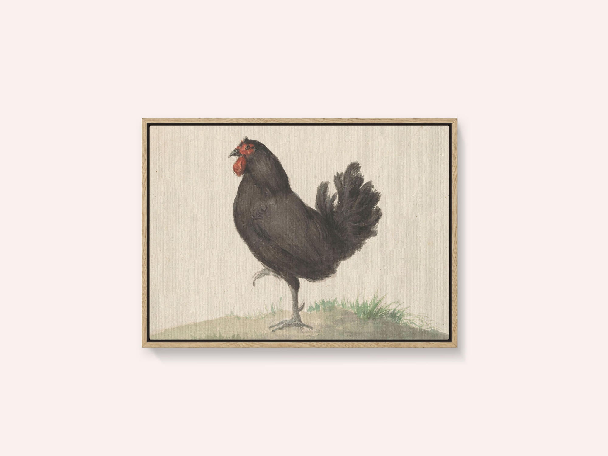Staande Zwarte Kip (1775–1833)