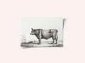Standing Bull
