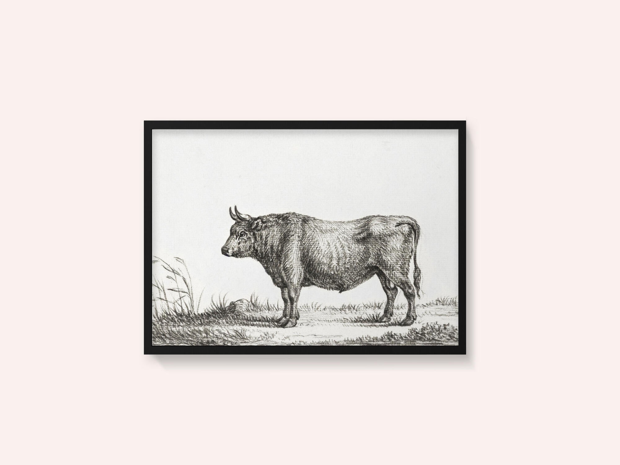 Standing Bull