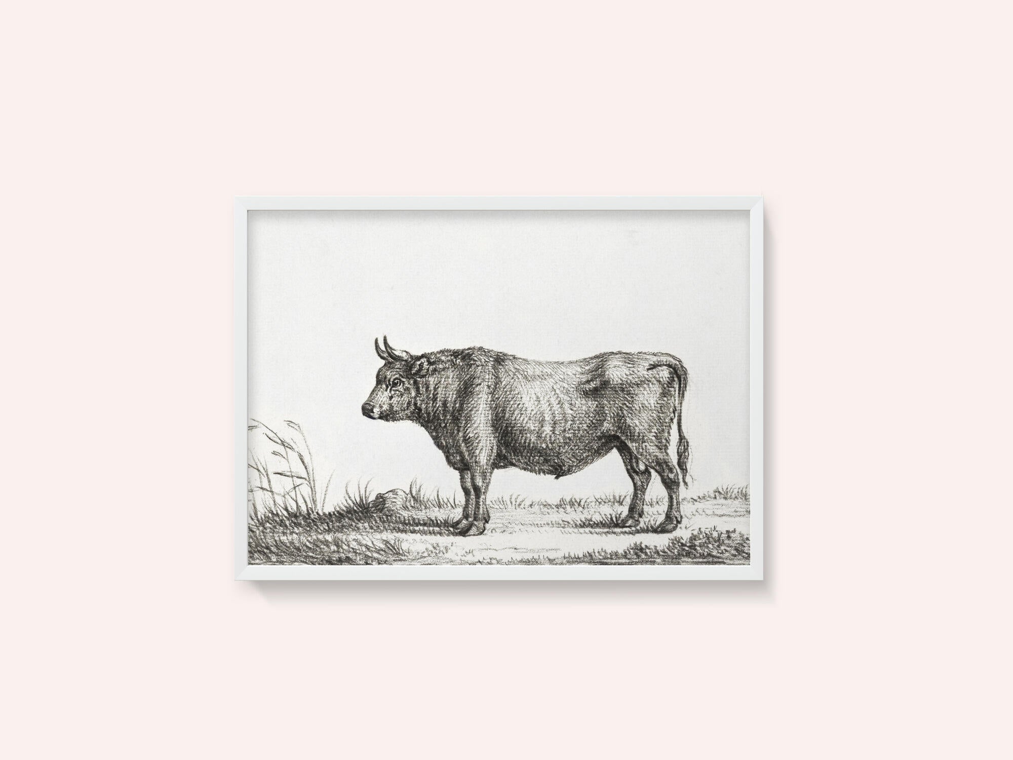 Standing Bull