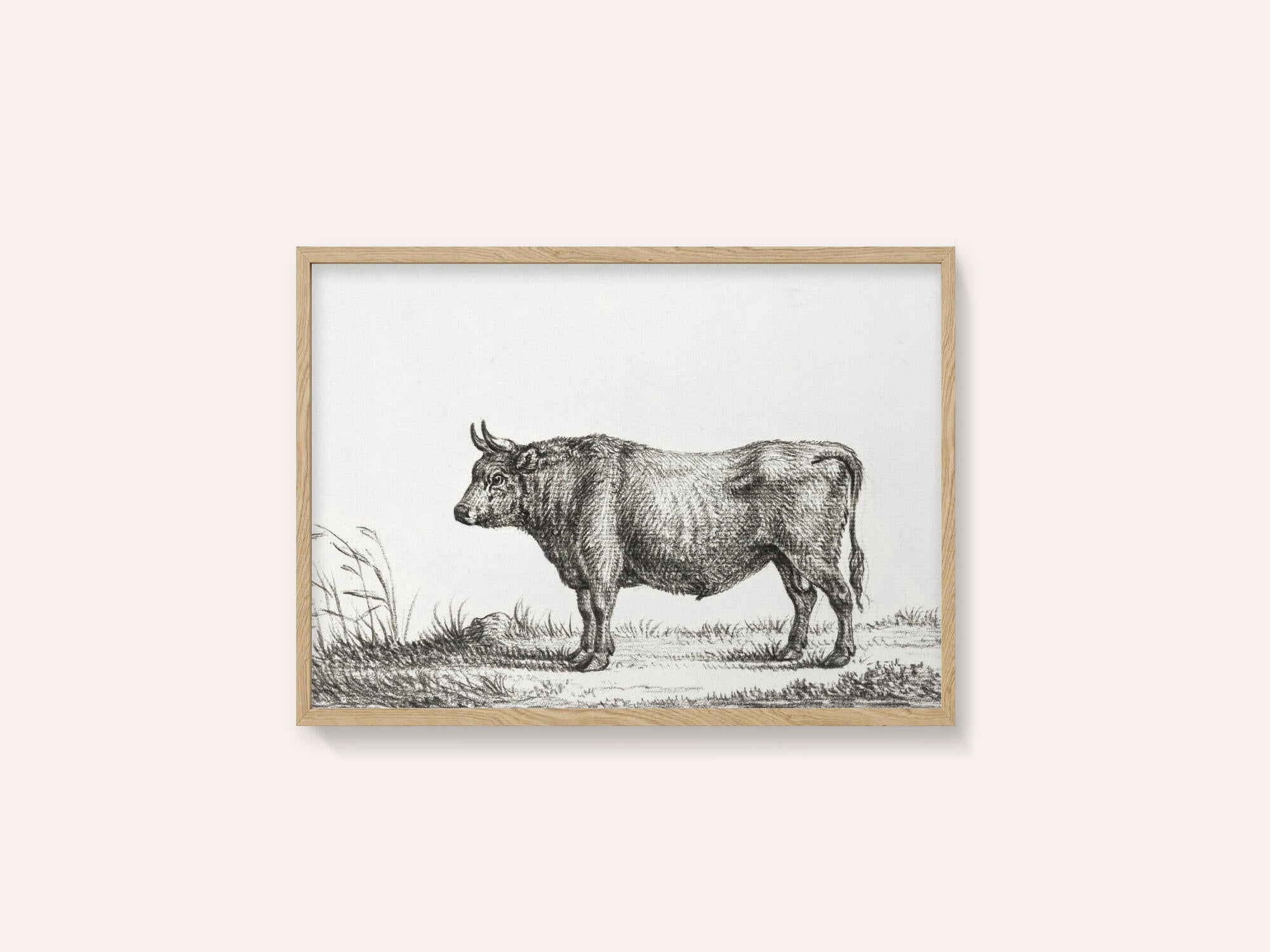 Standing Bull