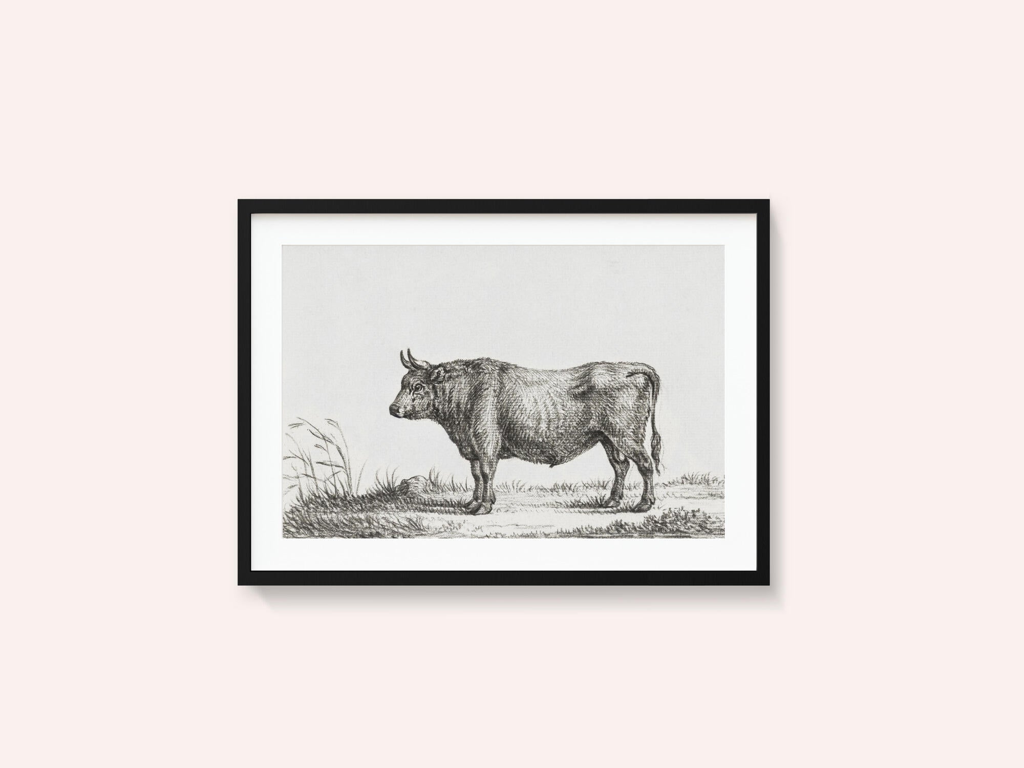 Standing Bull
